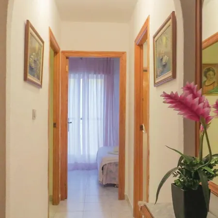 Apartment Three-bedroom In Torrevieja